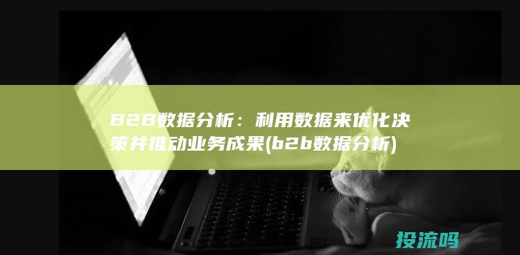 B2B 数据分析：利用数据来优化决策并推动业务成果 (b2b数据分析)