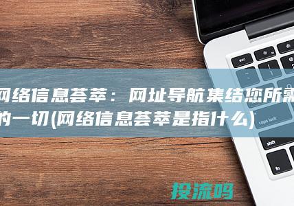 网络信息荟萃：网址导航集结您所需的一切 (网络信息荟萃是指什么)