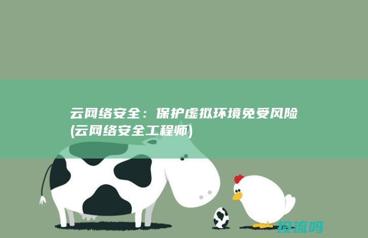 云网络安全：保护虚拟环境免受风险 (云网络安全工程师)