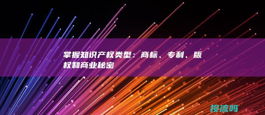 掌握知识产权类型：商标、专利、版权和商业秘密