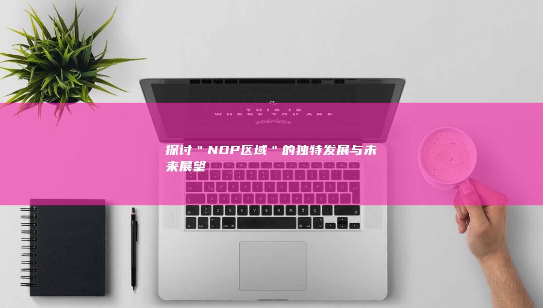 探讨＂NDP区域＂的独特发展与未来展望