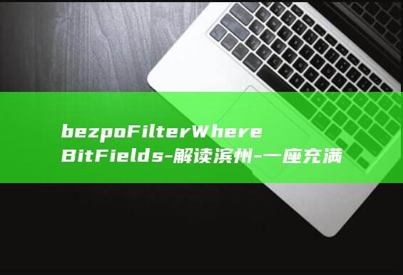 bezpoFilterWhereBitFields-解读滨州-一座充满故事的城市＂