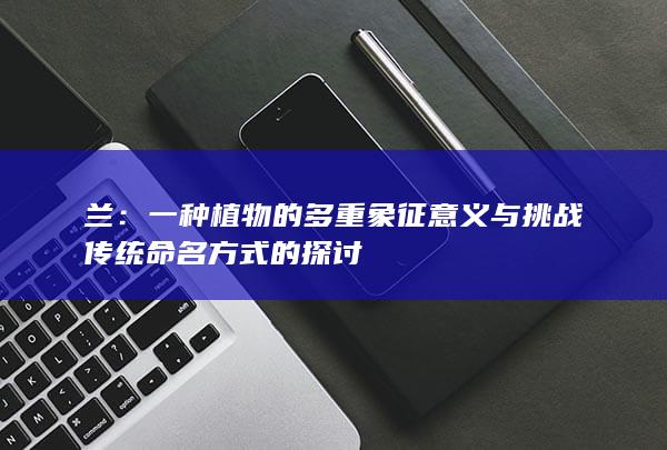 兰：一种植物的多重象征意义与挑战传统命名方式的探讨