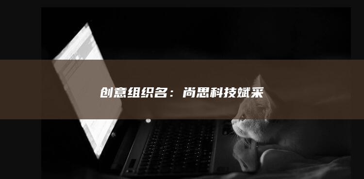 创意组织名：尚思科技斌采