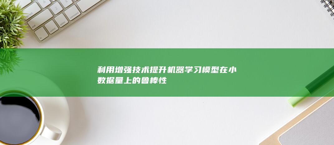 利用增强技术提升机器学习模型在小数据量上的鲁棒性