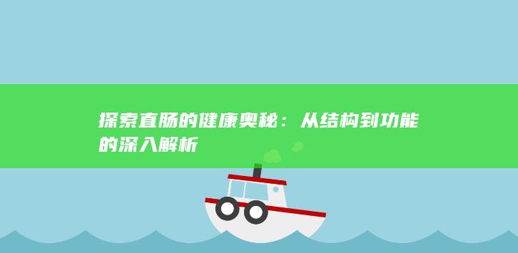 探索直肠的健康奥秘：从结构到功能的深入解析