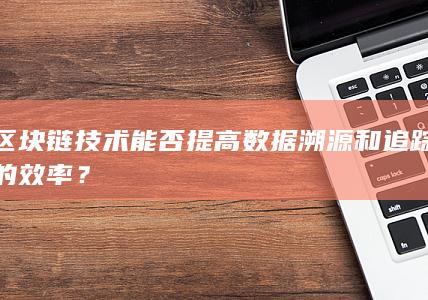 区块链技术能否提高数据溯源和追踪的效率？