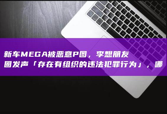 新车 MEGA 被恶意 P 图，李想朋友圈发声「存在有组织的违法犯罪行为」，哪些信息值得关注？