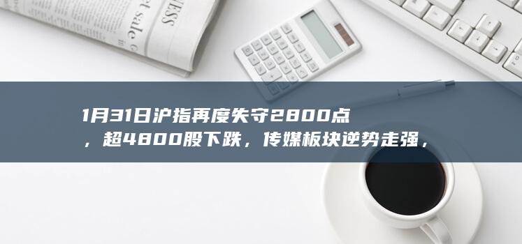 1 月 31 日沪指再度失守 2800 点，超 4800 股下跌，传媒板块逆势走强，如何看待今日行情？