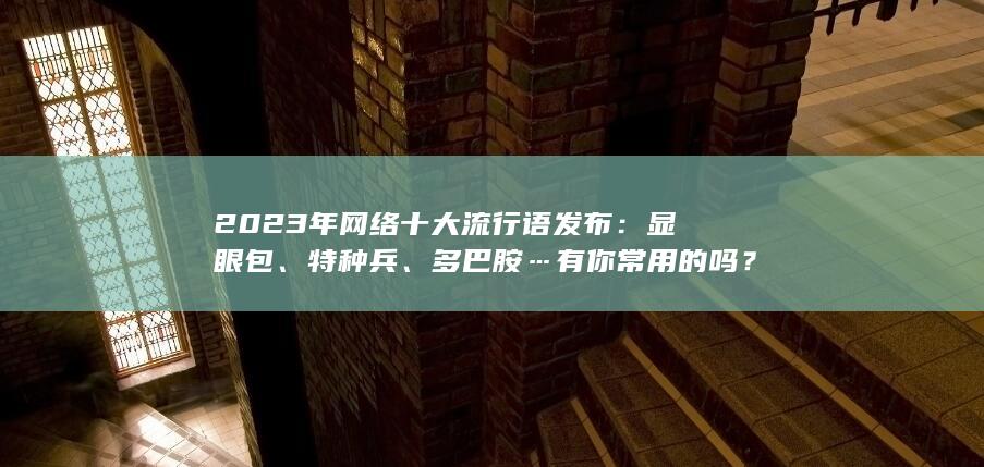 2023年网络十大流行语发布：显眼包、特种兵、多巴胺…有你常用的吗？