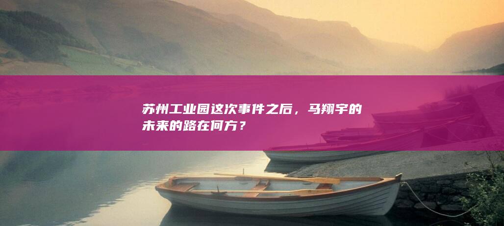 苏州工业园这次事件之后，马翔宇的未来的路在何方？