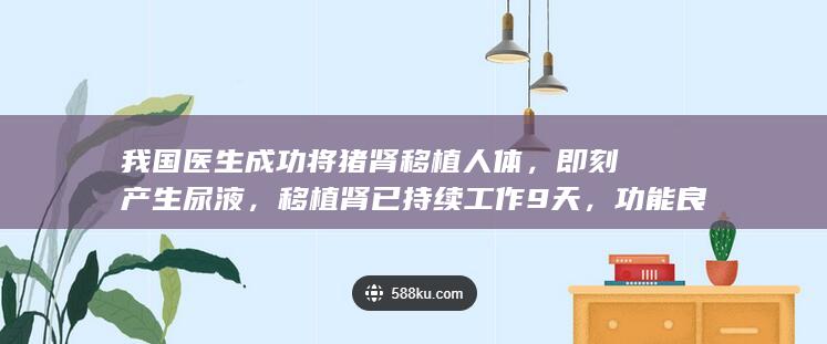 我国医生成功将猪肾移植人体，即刻产生尿液，移植肾已持续工作 9 天，功能良好，这一突破具有哪些意义？