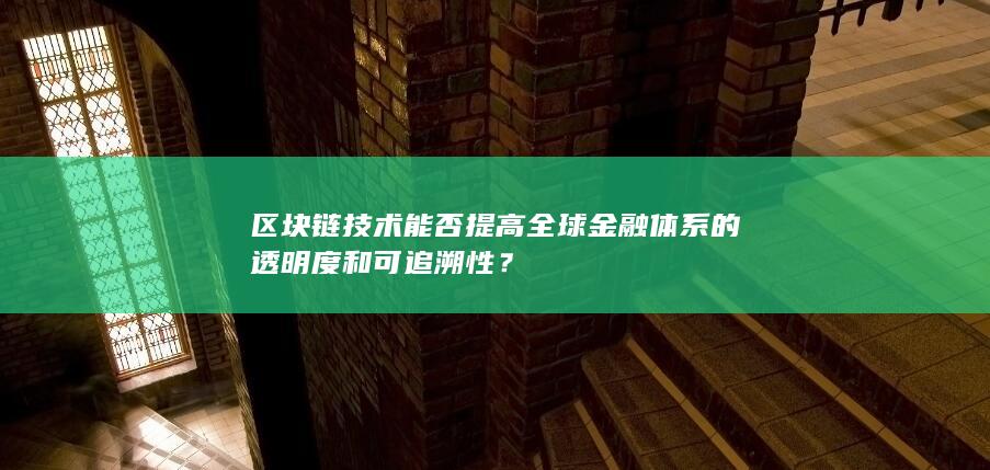 区块链技术能否提高全球金融体系的透明度和可追溯性？