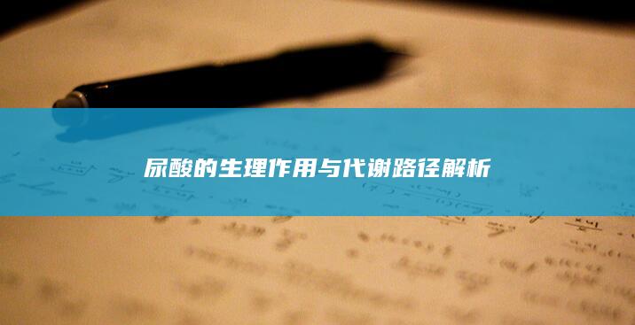 尿酸的生理作用与代谢路径解析